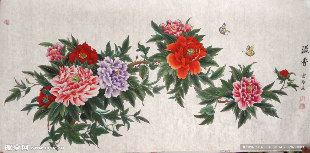 牡丹花开