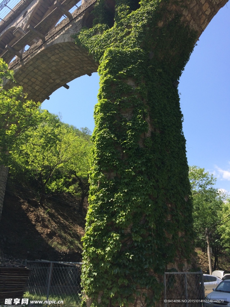清藤蔓爬山虎桥梁