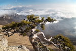 克里米亚风景