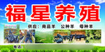 养殖