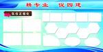 部队正规化