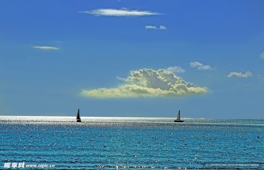 海洋
