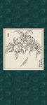 白描桃子