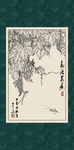 苦瓜
