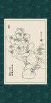蒲包花