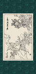 木槿