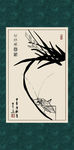 兰花