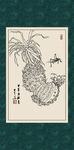 菠萝
