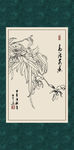 布袋兰