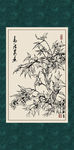 南天竺