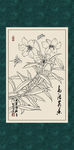 白描百合