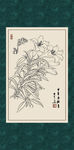 白描百合