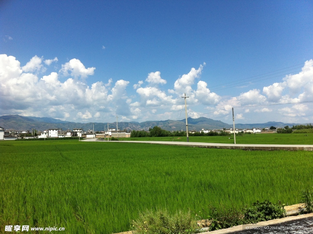 田园景色