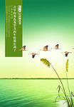 中国风