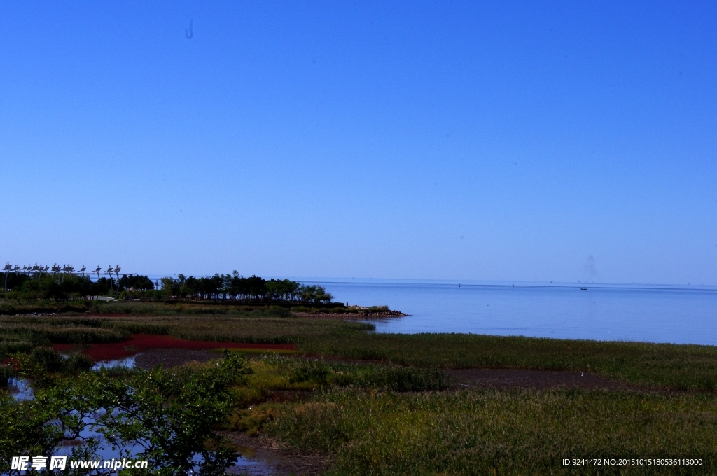 辽宁辽河河口景色