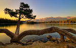 平静的湖泊黄昏美景