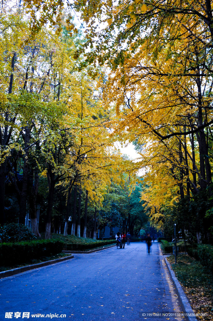 南京大学