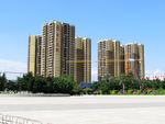 金汇双城
