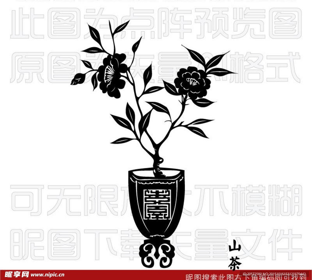 素描山茶花