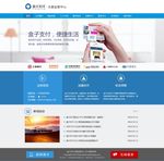 盒子支付官方网站设计作品
