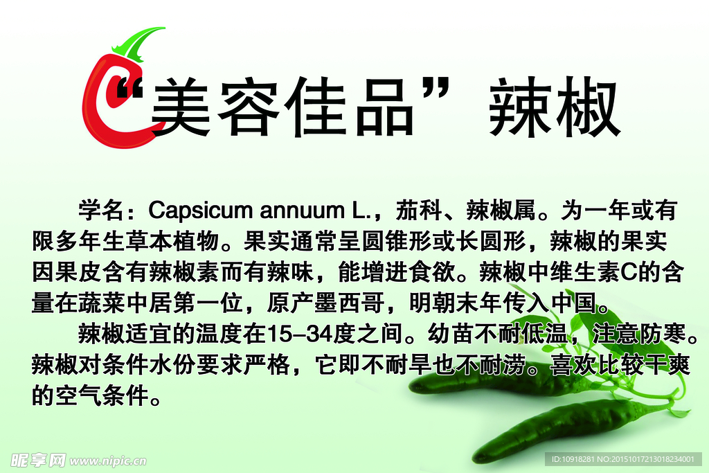 辣椒