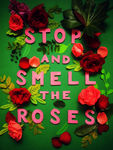 roses海报