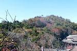 泰山