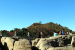 泰山