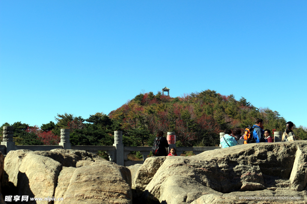 泰山
