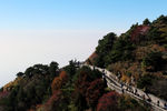 泰山