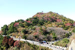 泰山