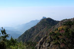 泰山