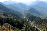 泰山