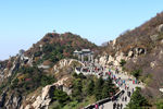 泰山