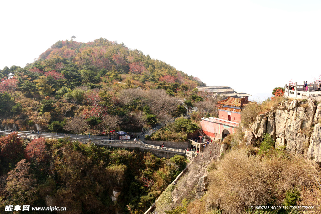 泰山