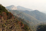 泰山