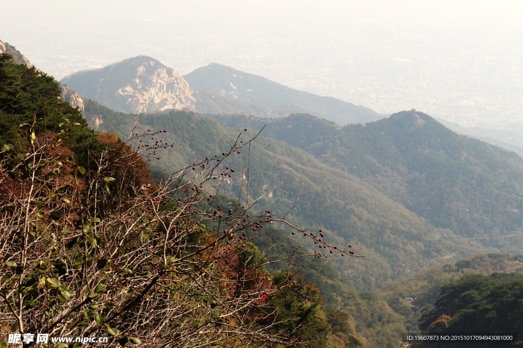 泰山
