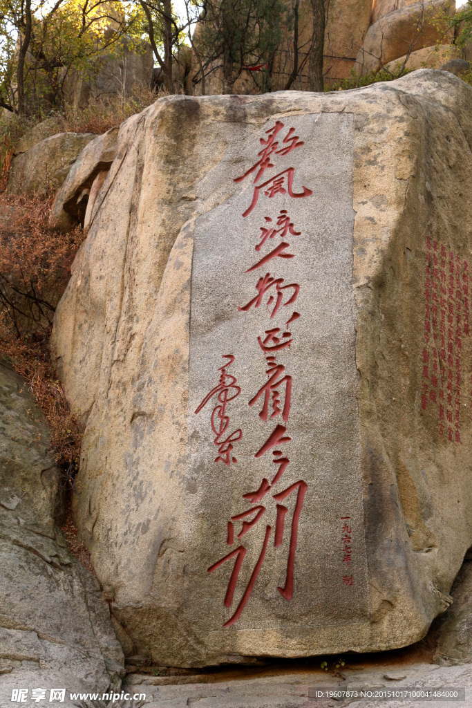 泰山