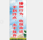 学校标语 墙体文化 学校文化墙