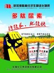 多肽尿素宣传单页