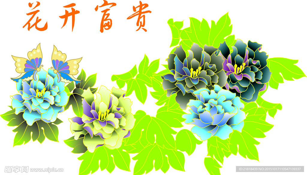 牡丹花