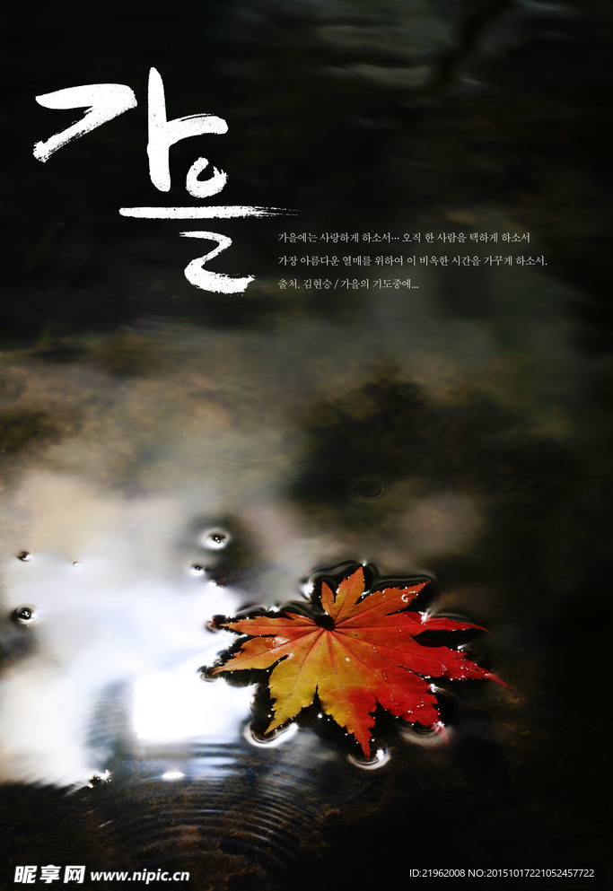 枫叶红