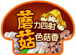 磨菇