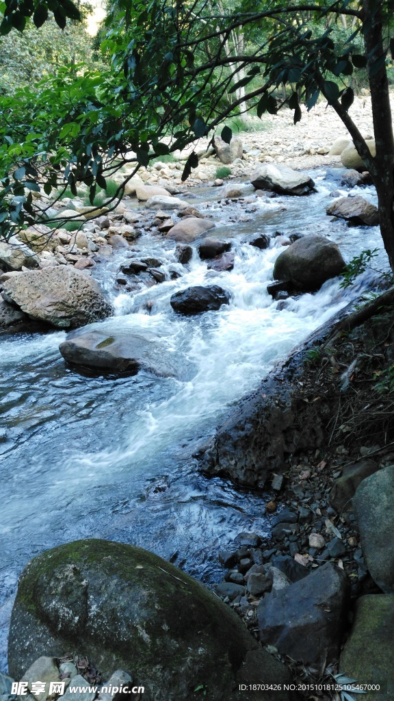 溪流 溪水