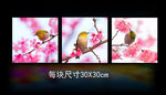 花鸟无框画