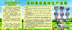 香菇栽培生产流程版面