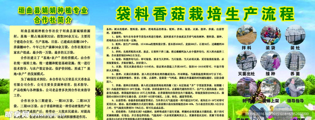 香菇栽培生产流程版面