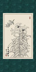 白描百合