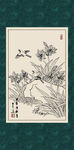 柱顶红