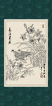 柱顶红